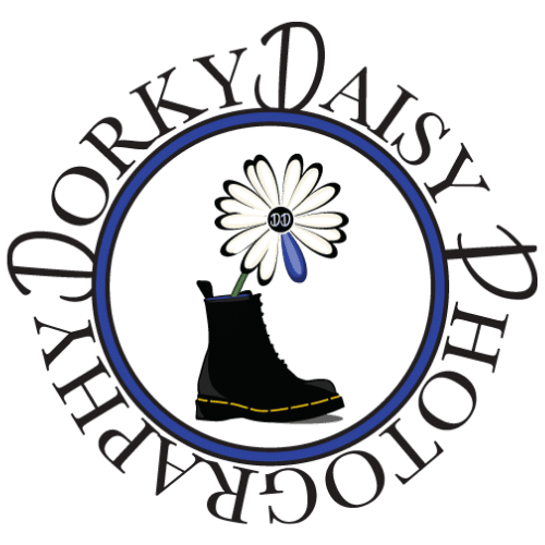 Dorky Daisy Photography with Lisa Sampietro