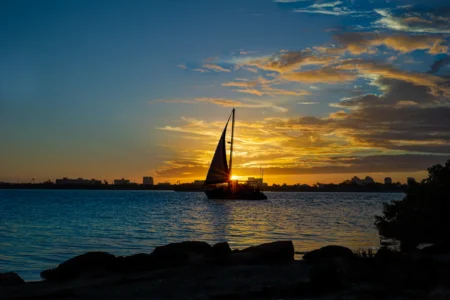 Ambassador (Coming Soon)