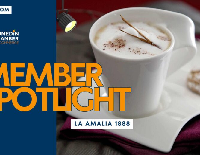 Member Spotlight: La Amalia 1888