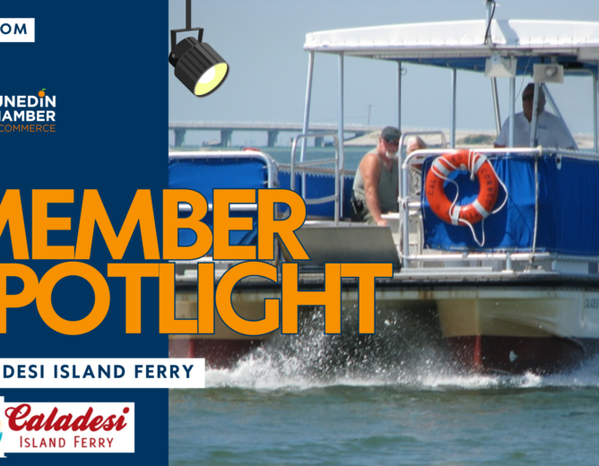 Member Spotlight: Caladesi Island Connection, Inc.